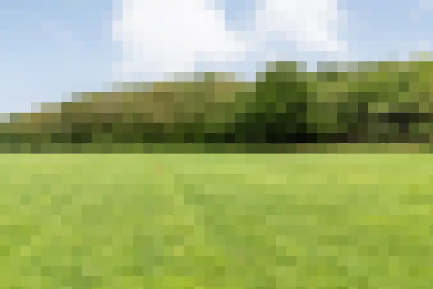 Ronde Blesse 4 Willemsoord thumbnail 79