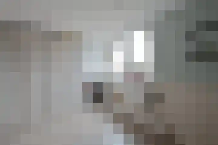Ronde Bonk 1 Nieuwkoop thumbnail 16