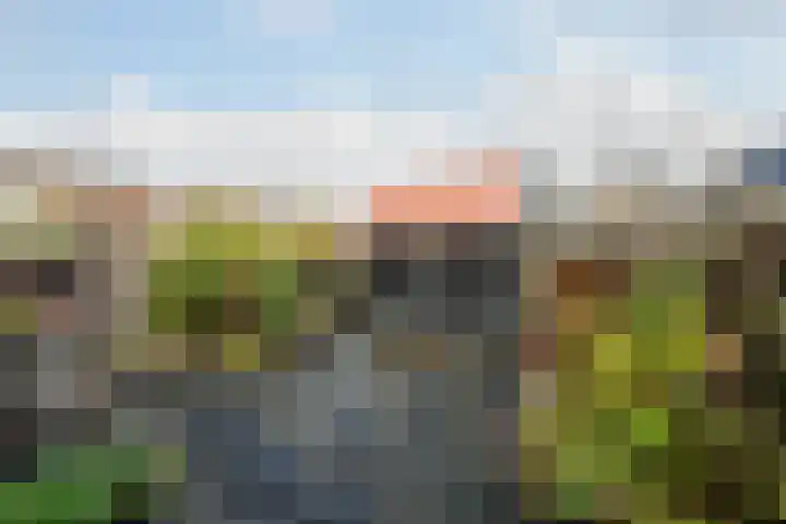 Ronde Bonk 1 Nieuwkoop thumbnail 20