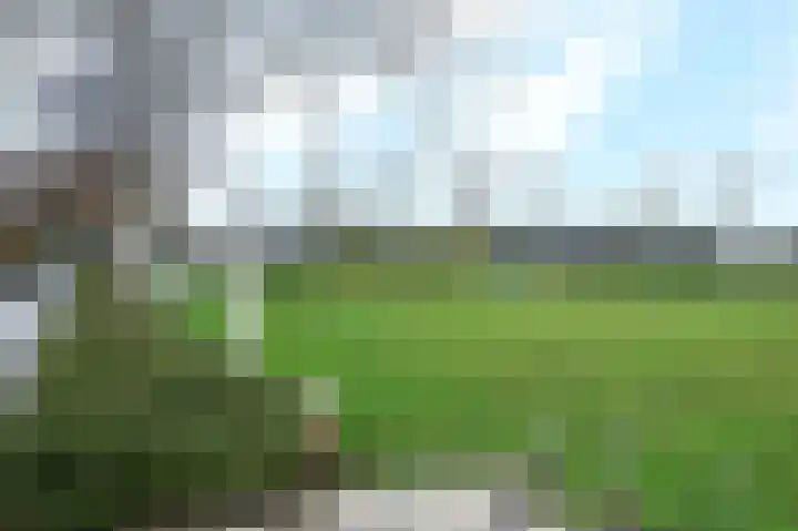 Ronde Bonk 1 Nieuwkoop thumbnail 22