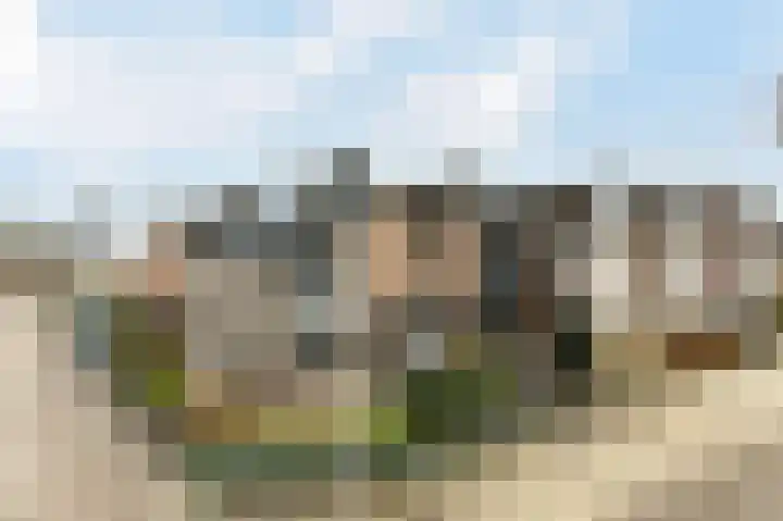 Ronde Bonk 1 Nieuwkoop thumbnail 24