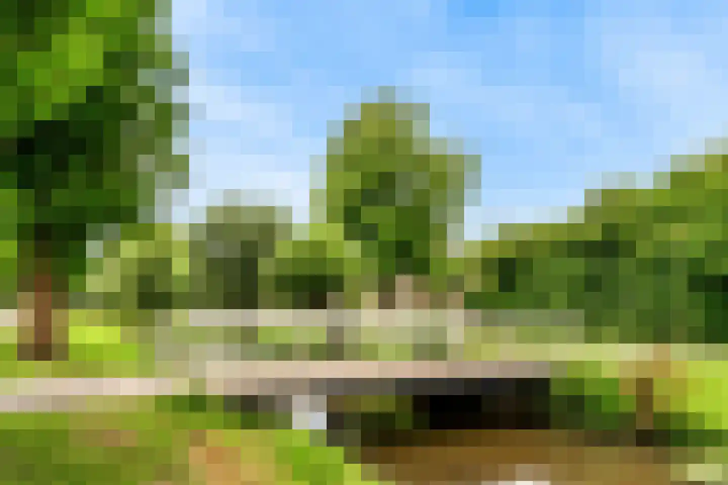 Ronde Bonk 58 Nieuwkoop thumbnail 4