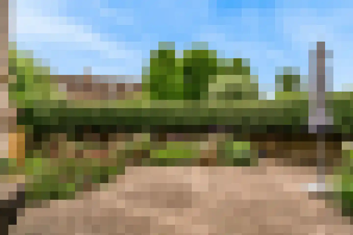 Ronde Bonk 58 Nieuwkoop thumbnail 43