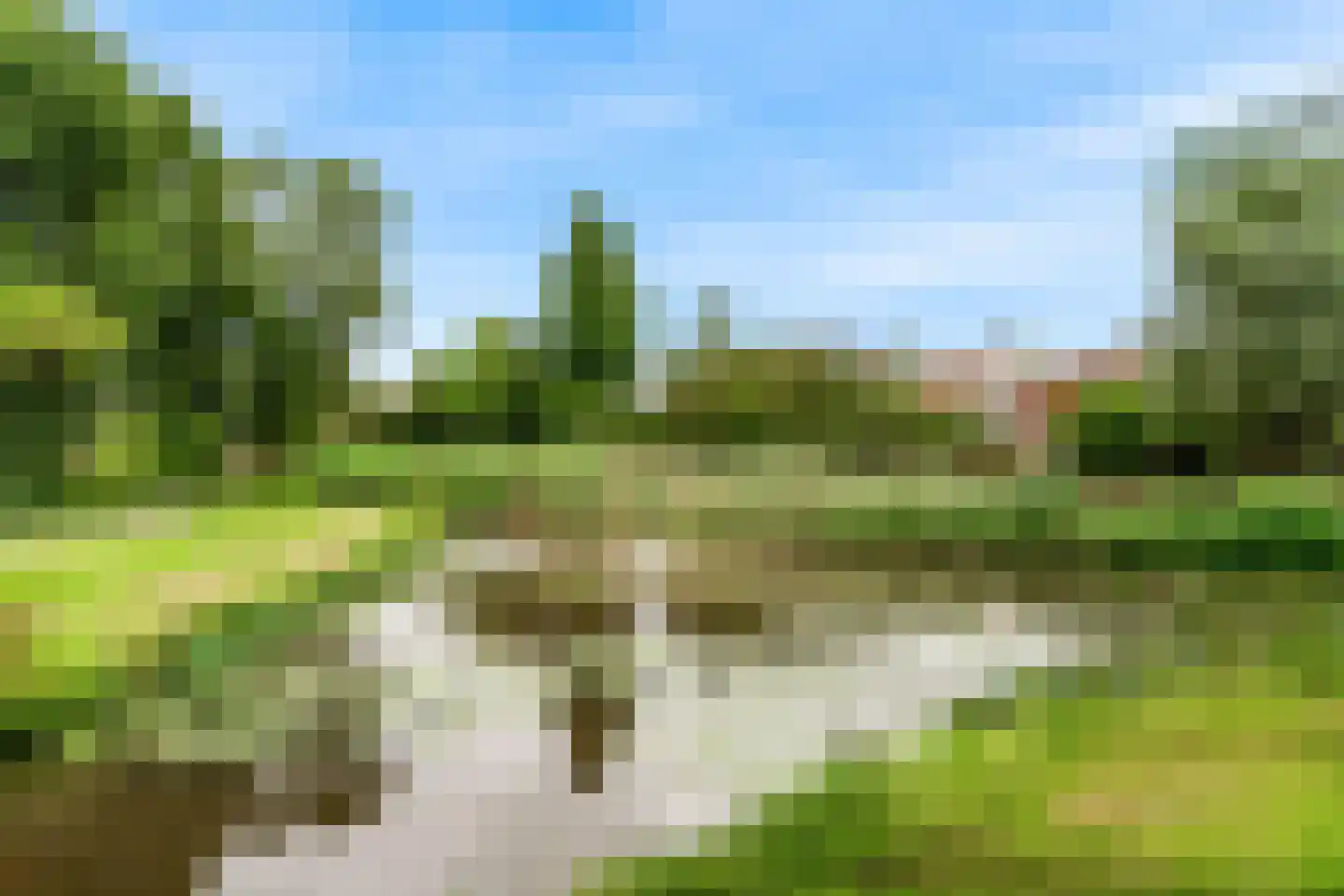 Ronde Bonk 58 Nieuwkoop thumbnail 50
