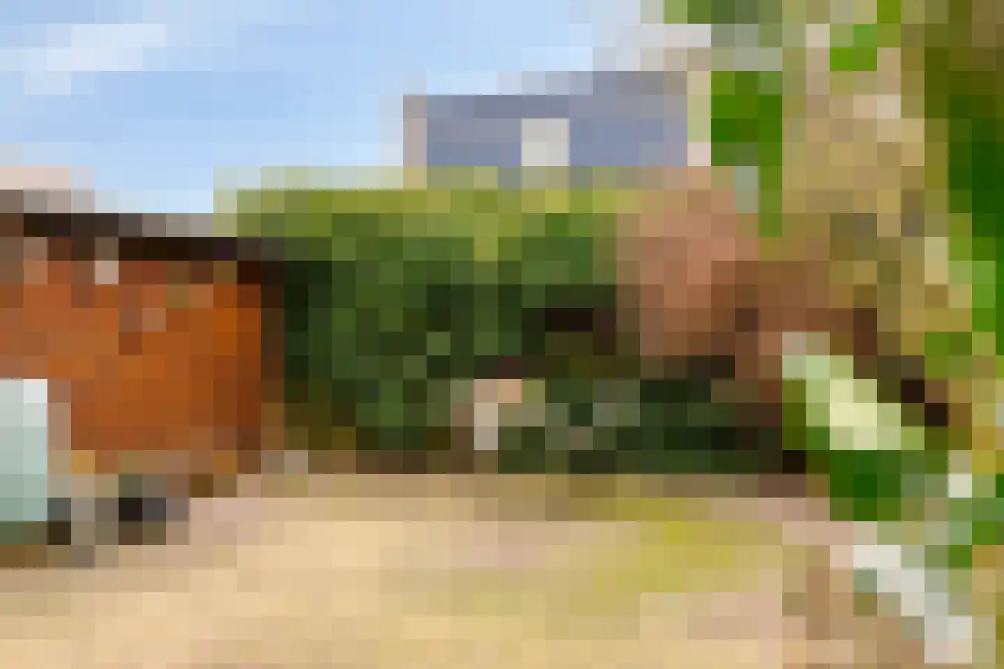 Ronde Laan 14 Heiloo thumbnail 10