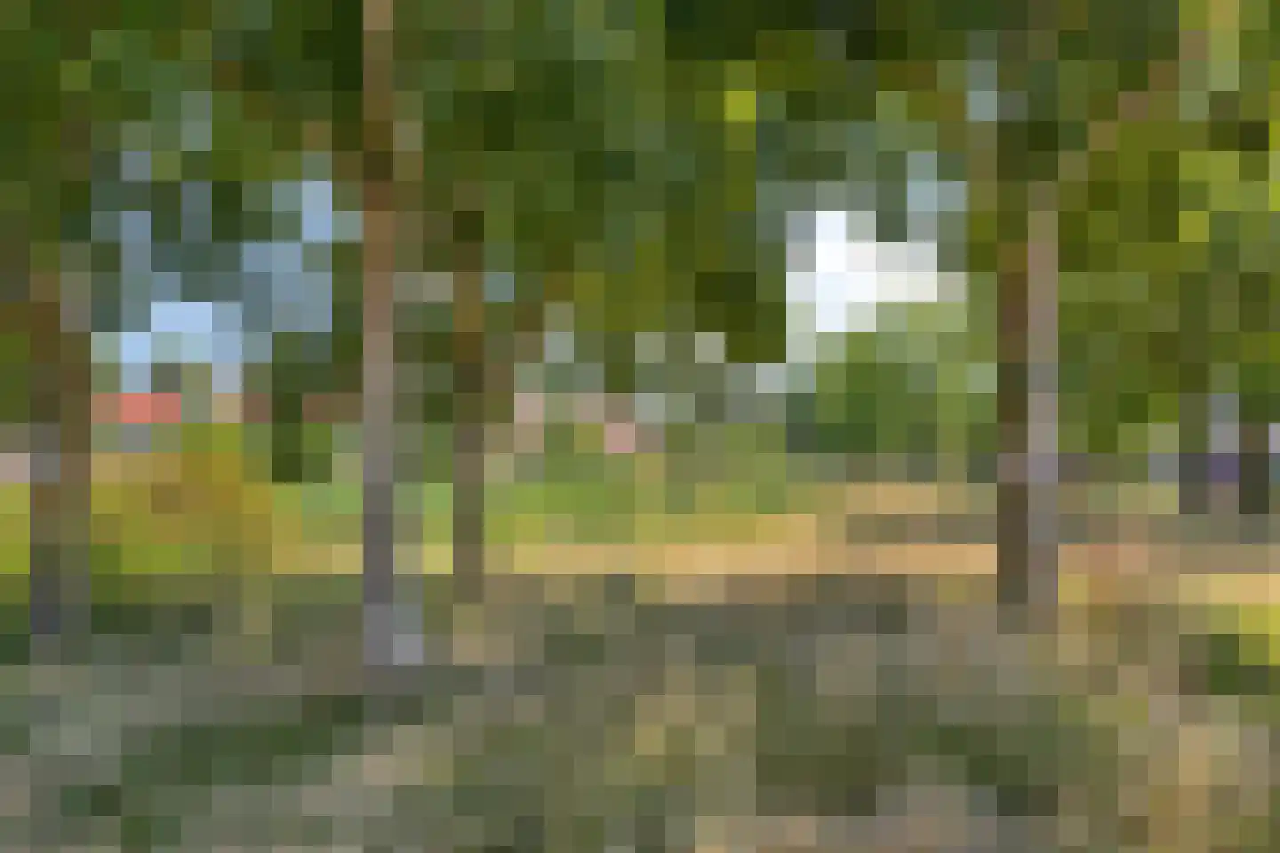 Ronde Laan 38 Heiloo thumbnail 35