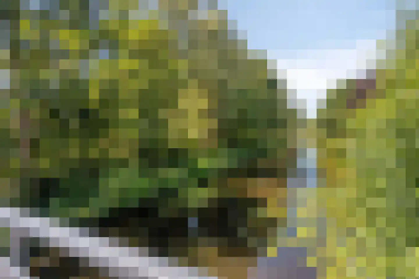 Ronde Laan 38 Heiloo thumbnail 36