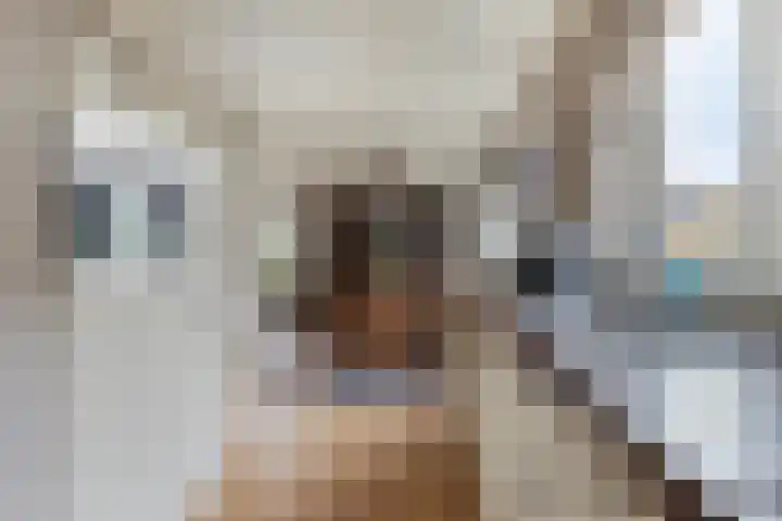 Ronde Menning 15 Steggerda thumbnail 10