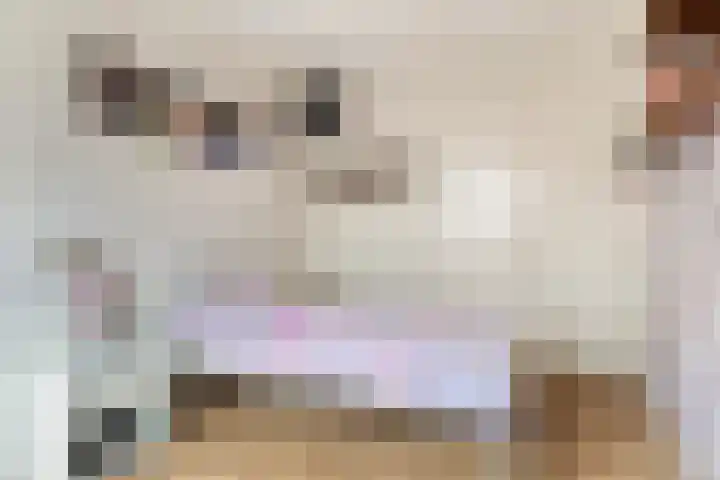 Ronde Menning 15 Steggerda thumbnail 15