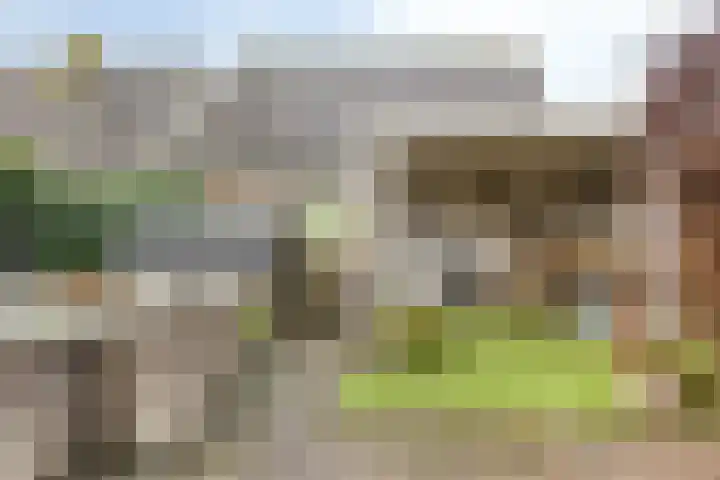 Ronde Menning 15 Steggerda thumbnail 33