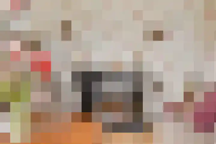 Ronde Menning 15 Steggerda thumbnail 4