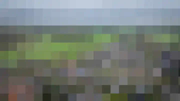Ronde Menning 15 Steggerda thumbnail 53
