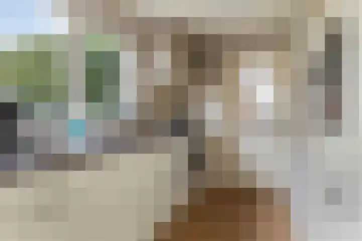 Ronde Menning 15 Steggerda thumbnail 9