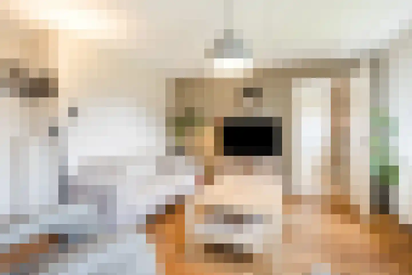 Ronde Weiden 5 Ruinerwold thumbnail 10