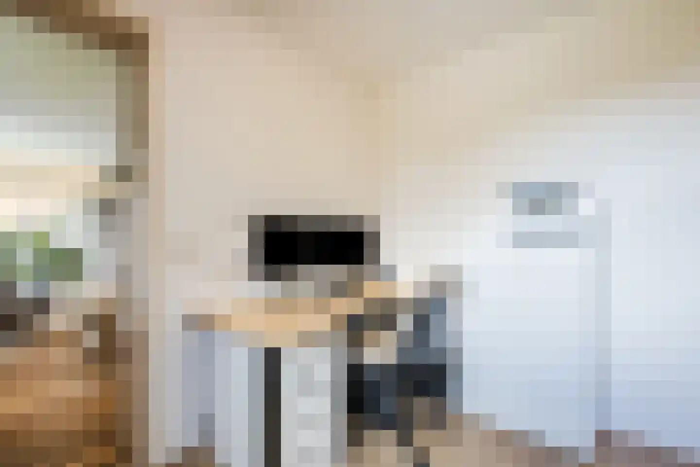 Ronde Weiden 5 Ruinerwold thumbnail 12