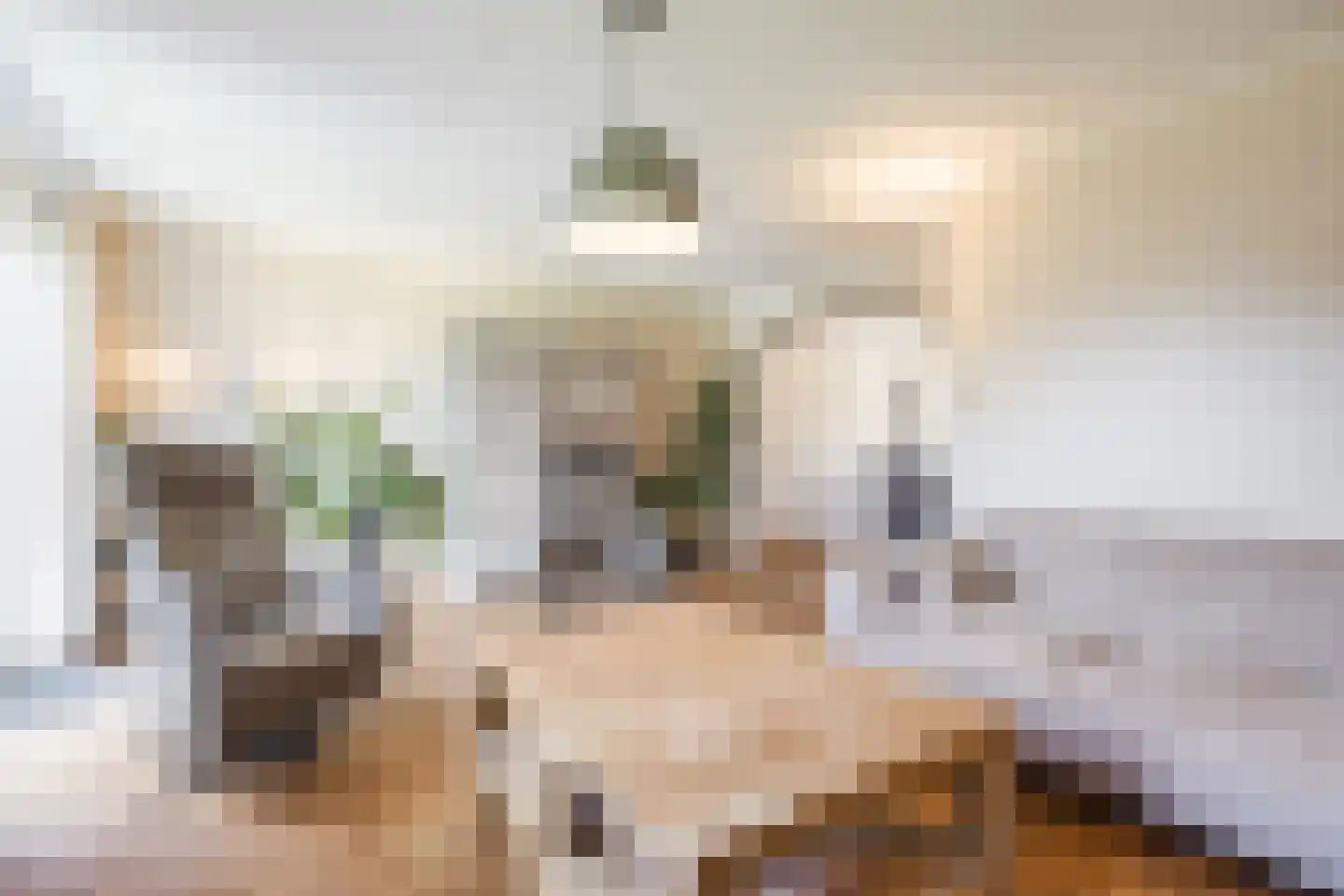 Ronde Weiden 5 Ruinerwold thumbnail 13