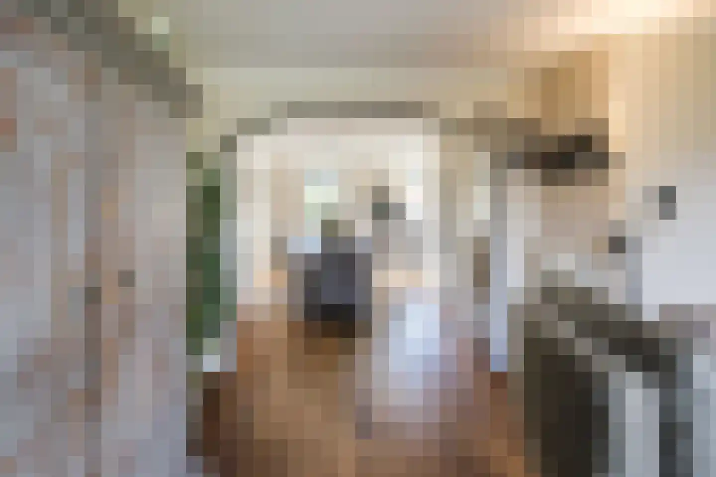 Ronde Weiden 5 Ruinerwold thumbnail 14