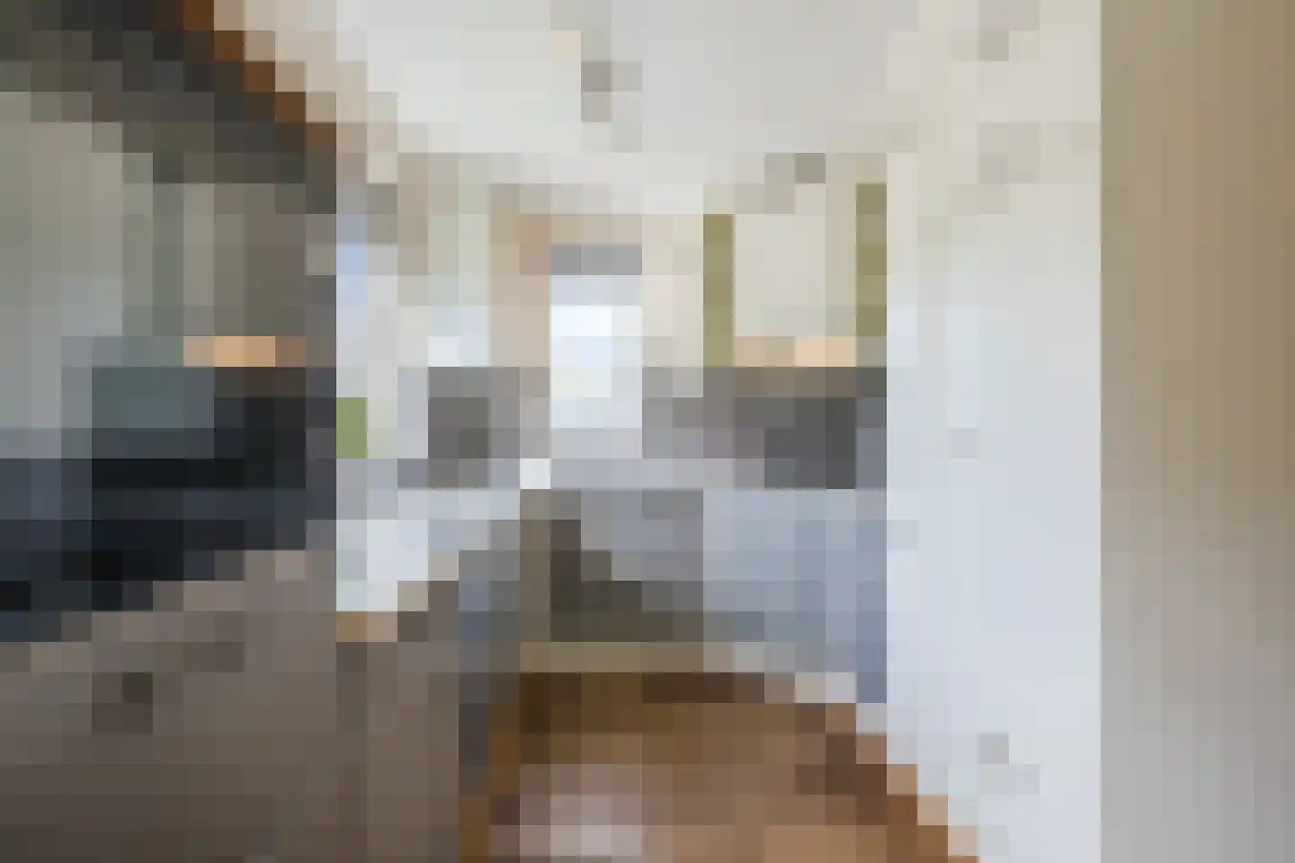 Ronde Weiden 5 Ruinerwold thumbnail 17