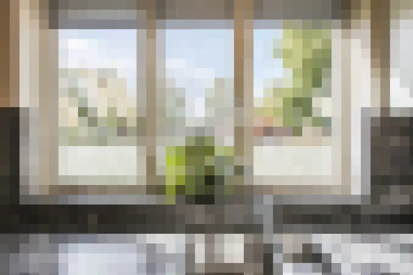 Ronde Weiden 5 Ruinerwold thumbnail 19
