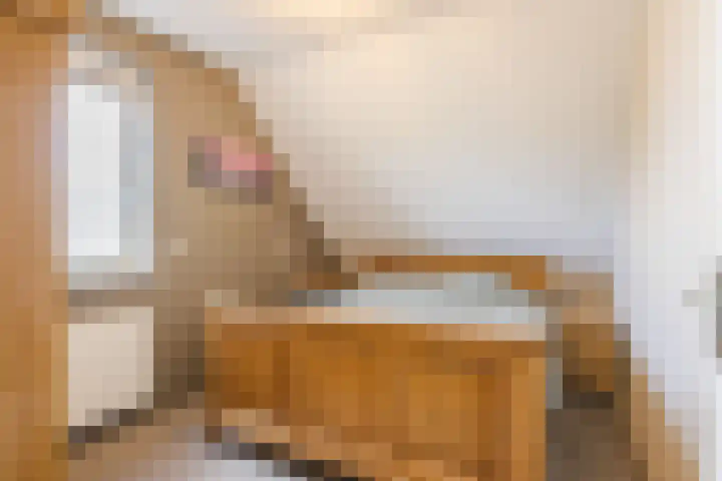 Ronde Weiden 5 Ruinerwold thumbnail 26