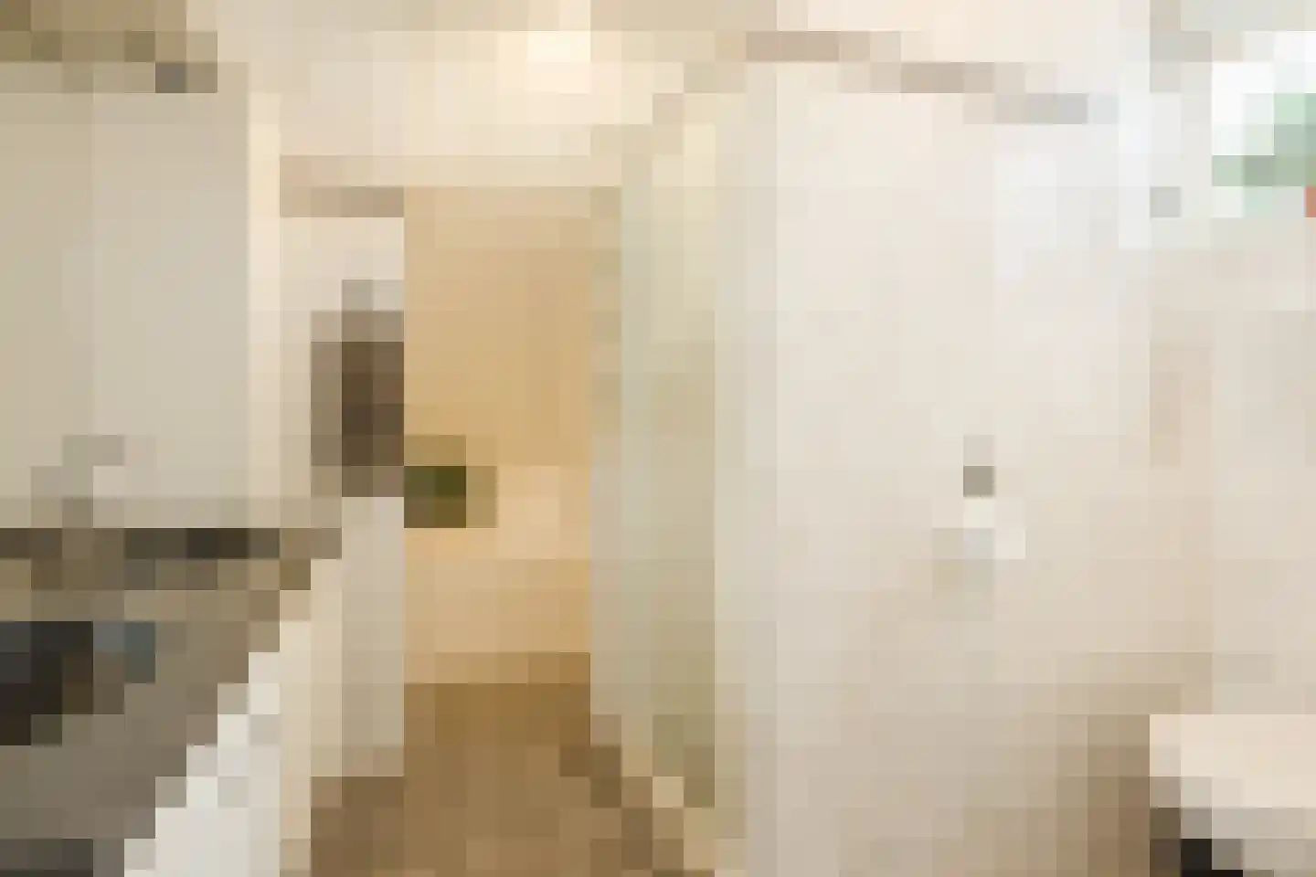 Ronde Weiden 5 Ruinerwold thumbnail 28