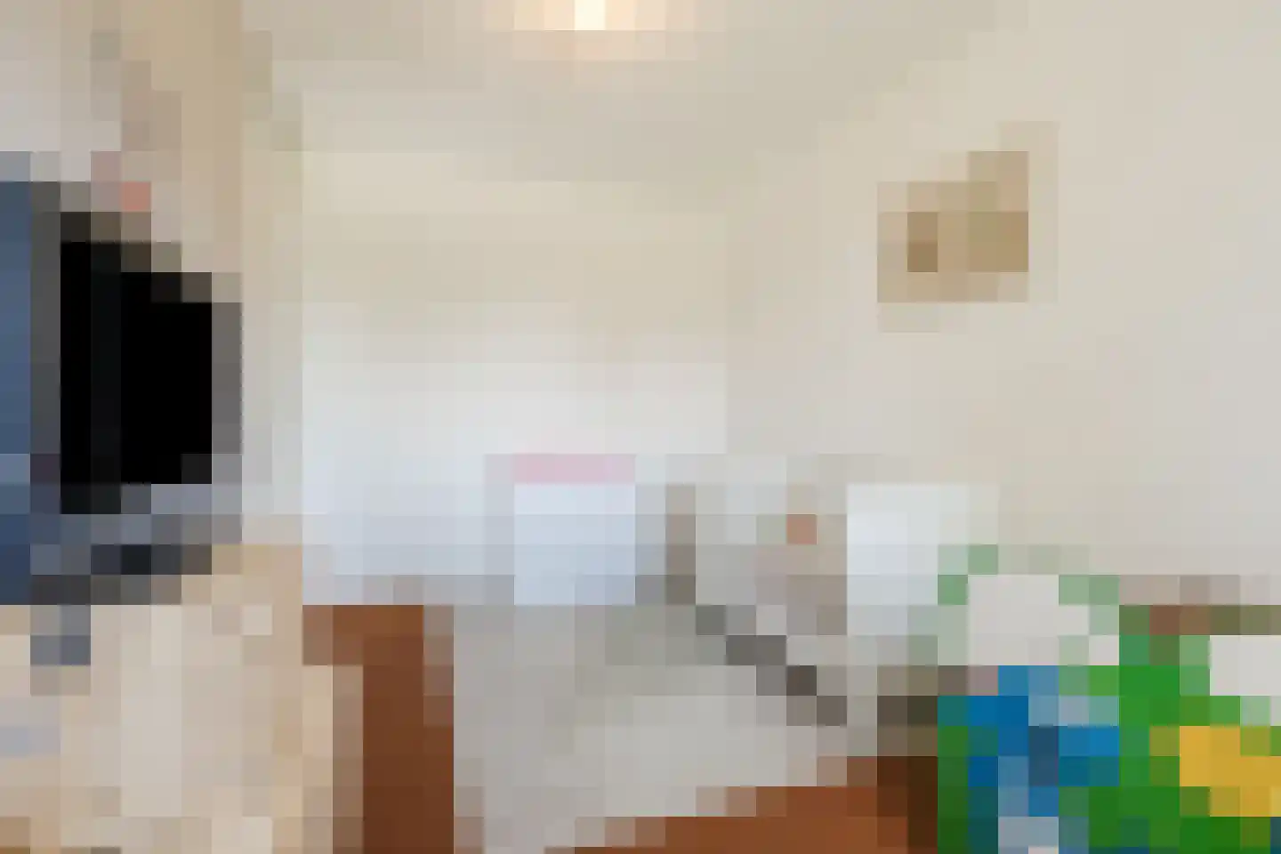 Ronde Weiden 5 Ruinerwold thumbnail 32