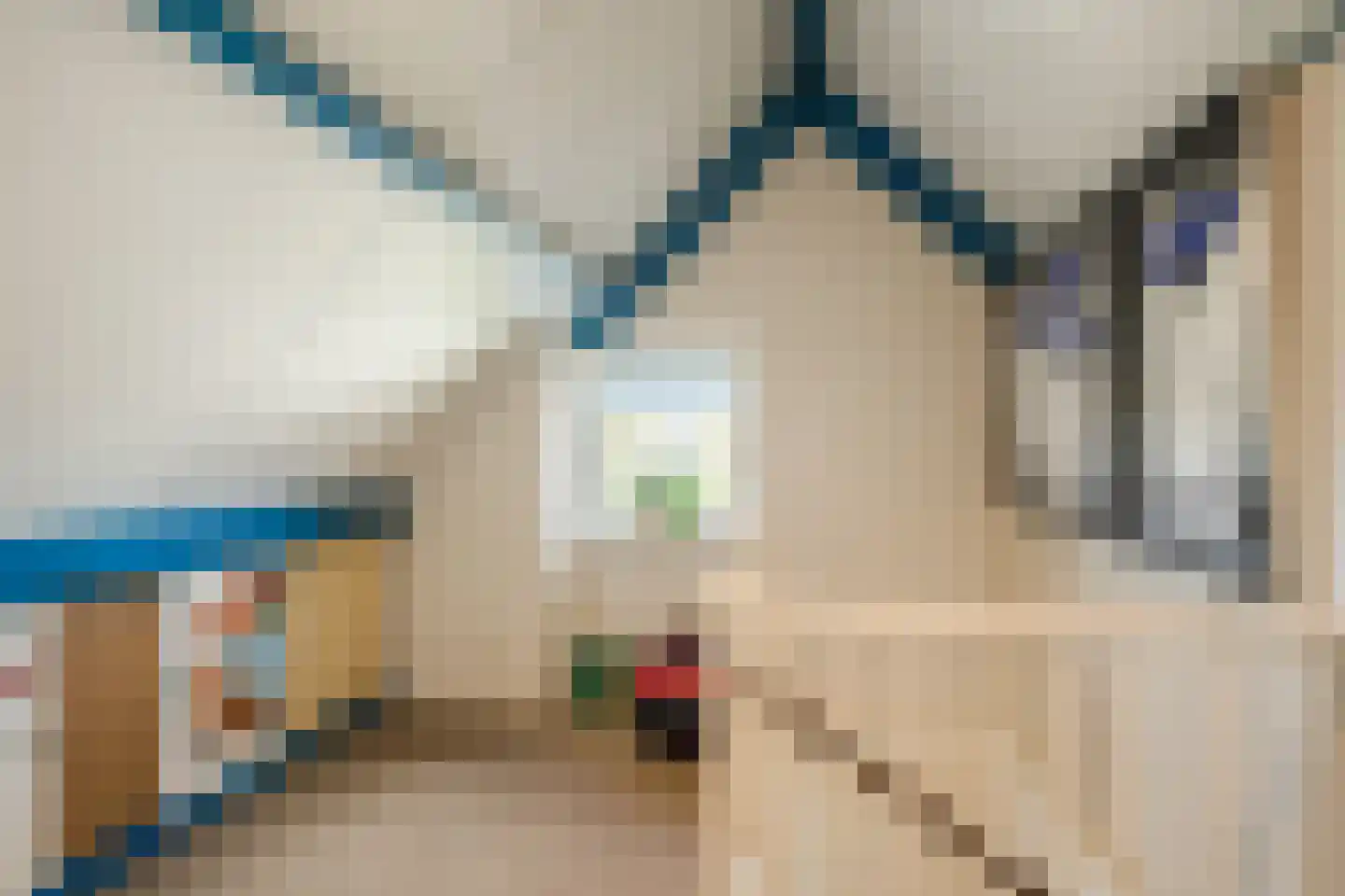 Ronde Weiden 5 Ruinerwold thumbnail 37