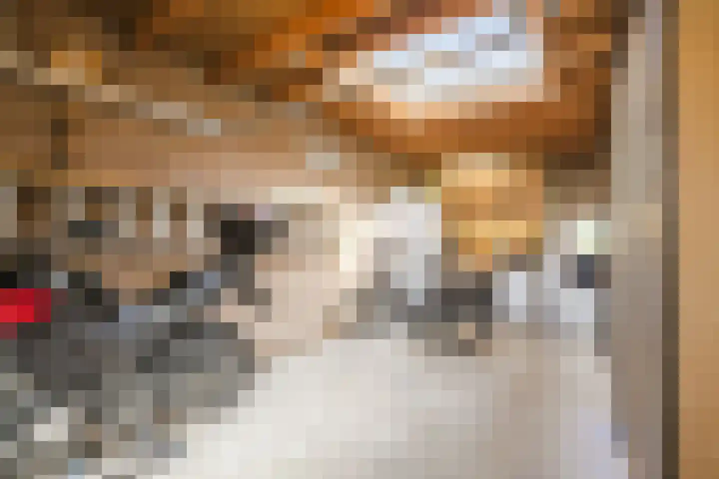 Ronde Weiden 5 Ruinerwold thumbnail 43