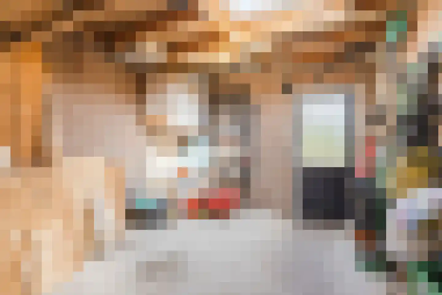 Ronde Weiden 5 Ruinerwold thumbnail 46