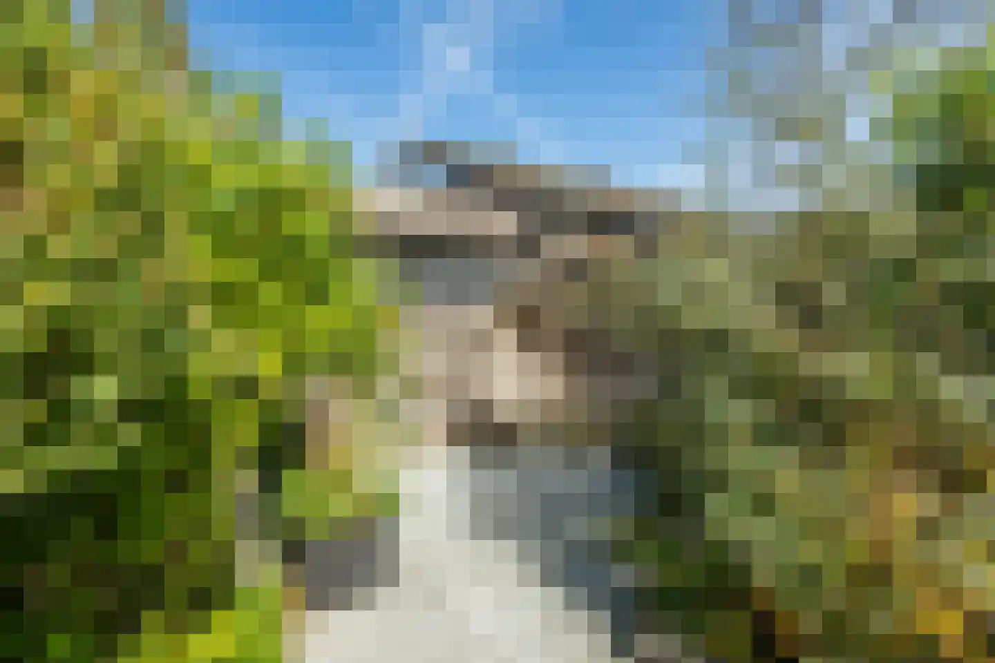 Ronde Weiden 5 Ruinerwold thumbnail 51