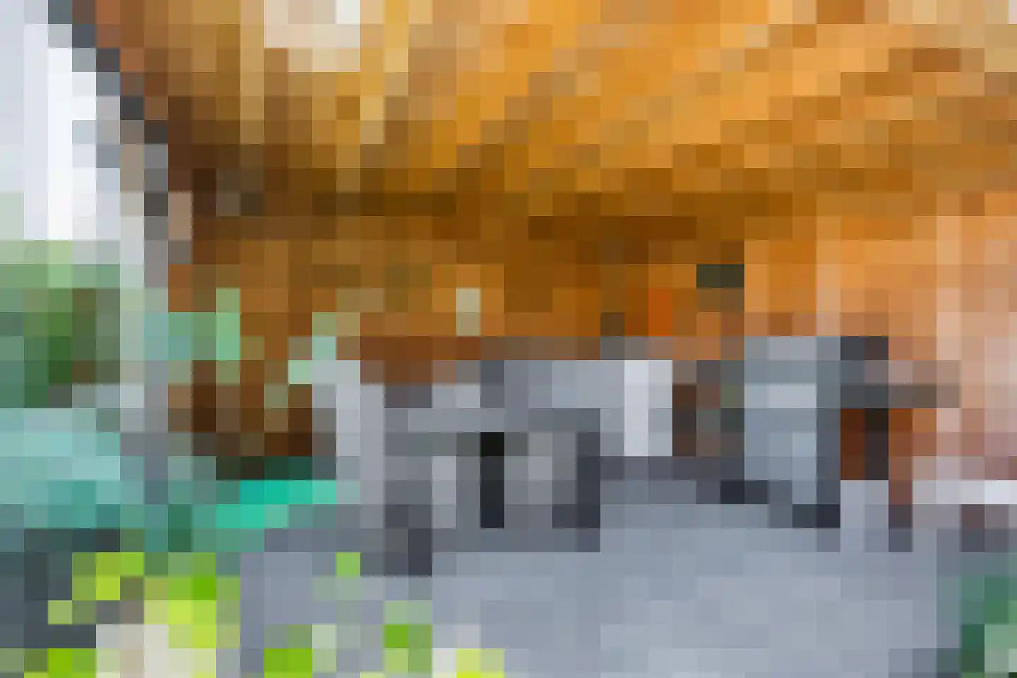 Ronde Weiden 5 Ruinerwold thumbnail 54