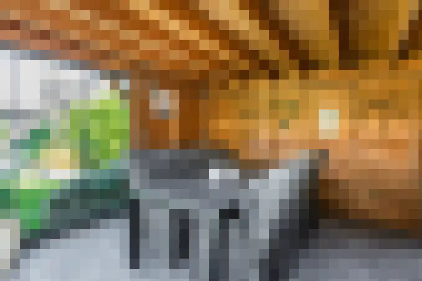 Ronde Weiden 5 Ruinerwold thumbnail 55