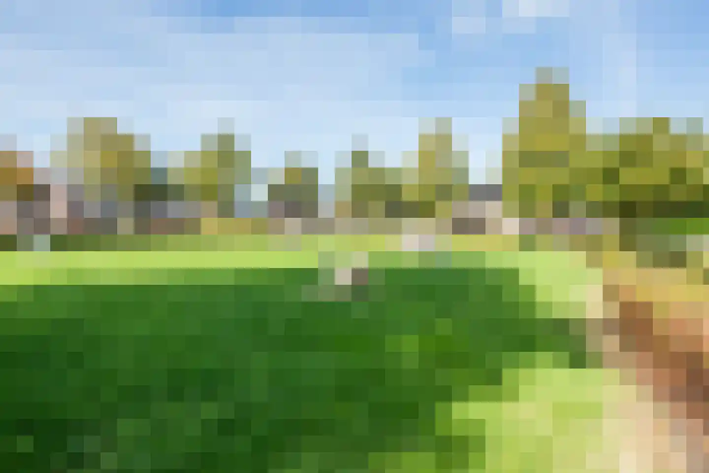 Ronde Weiden 5 Ruinerwold thumbnail 58