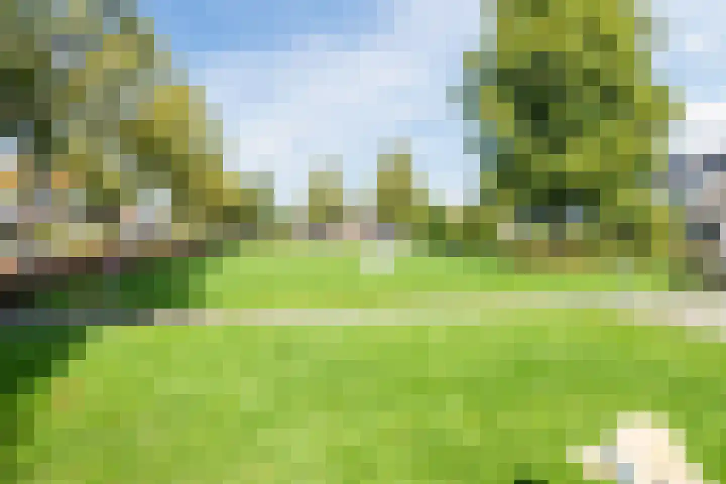 Ronde Weiden 5 Ruinerwold thumbnail 59