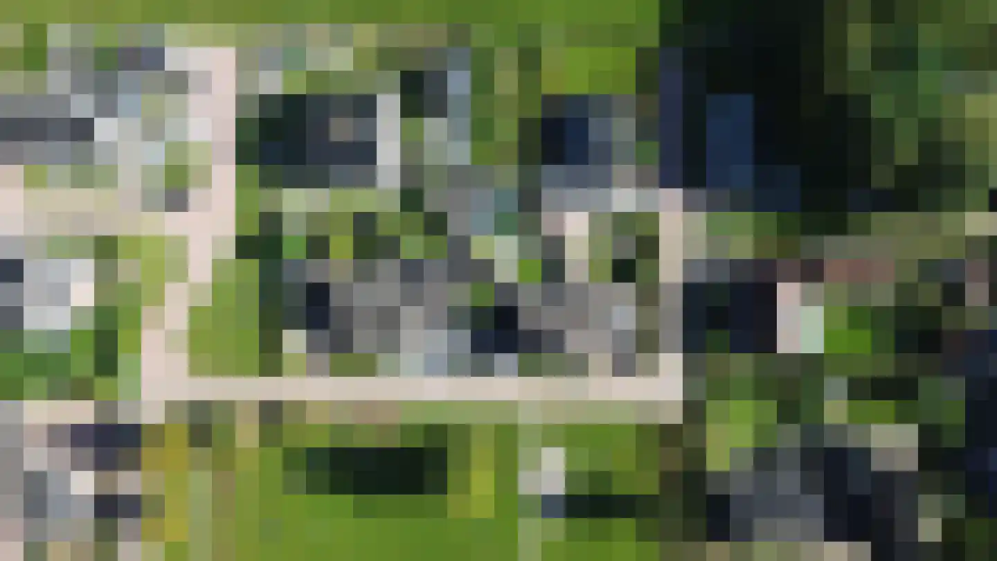 Ronde Weiden 5 Ruinerwold thumbnail 6