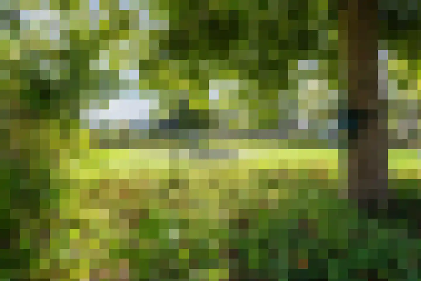 Ronde Weiden 5 Ruinerwold thumbnail 7