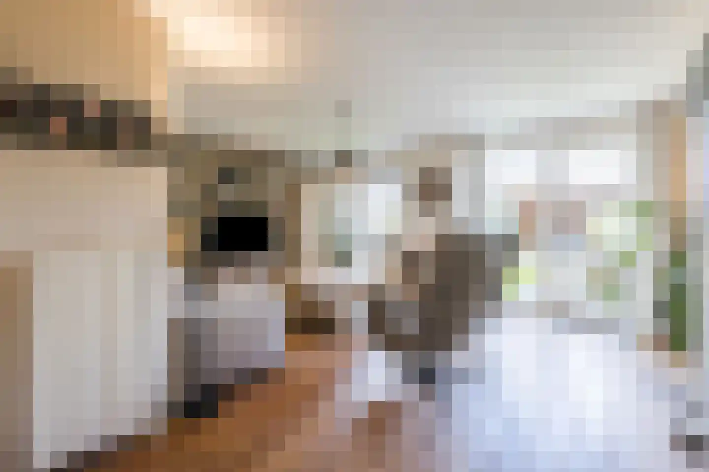 Ronde Weiden 5 Ruinerwold thumbnail 9