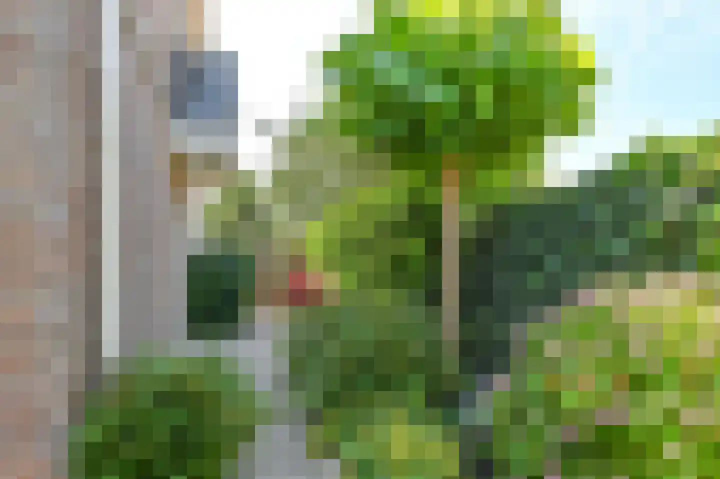 Ronde Zonnedauw 13 Velserbroek thumbnail 12