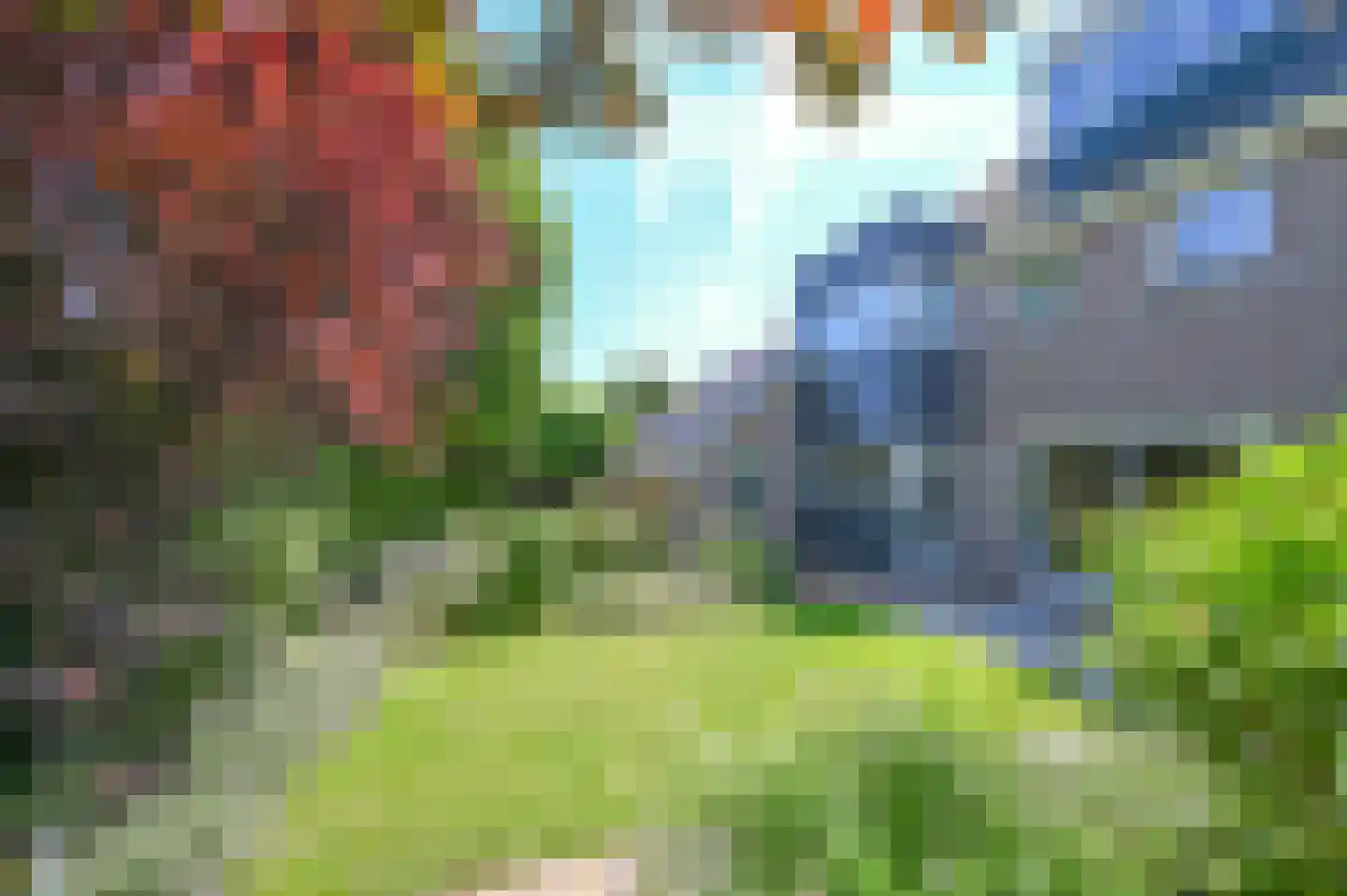 Ronde Zonnedauw 13 Velserbroek thumbnail 4