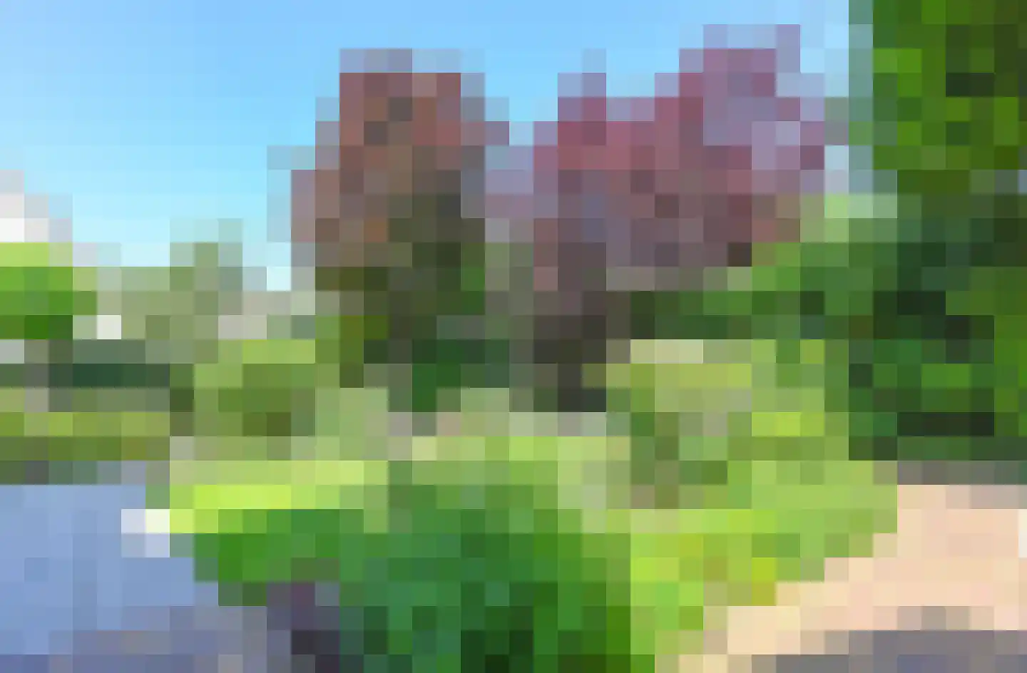 Ronde Zonnedauw 13 Velserbroek thumbnail 5