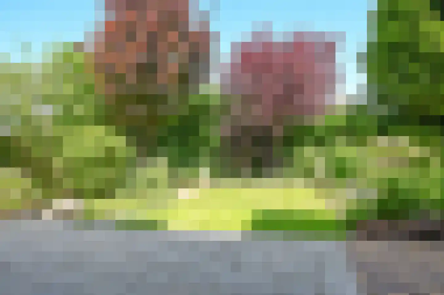 Ronde Zonnedauw 13 Velserbroek thumbnail 7
