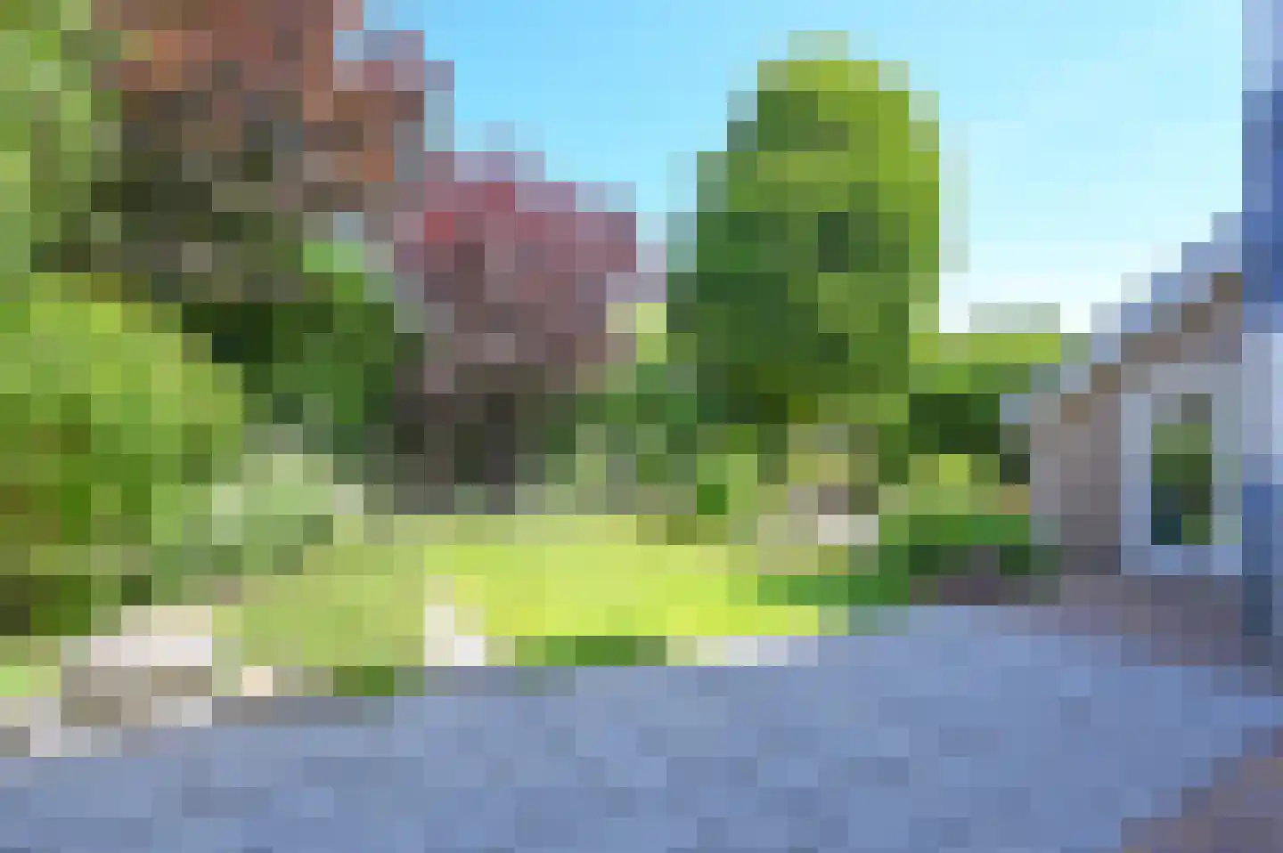 Ronde Zonnedauw 13 Velserbroek thumbnail 8