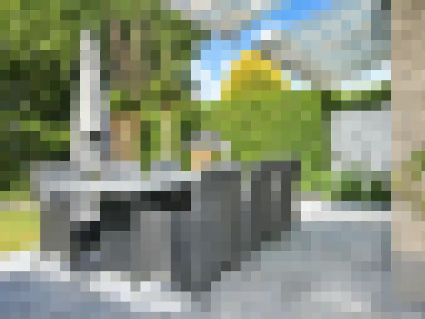 Ronde Zonnedauw 16 Velserbroek thumbnail 23