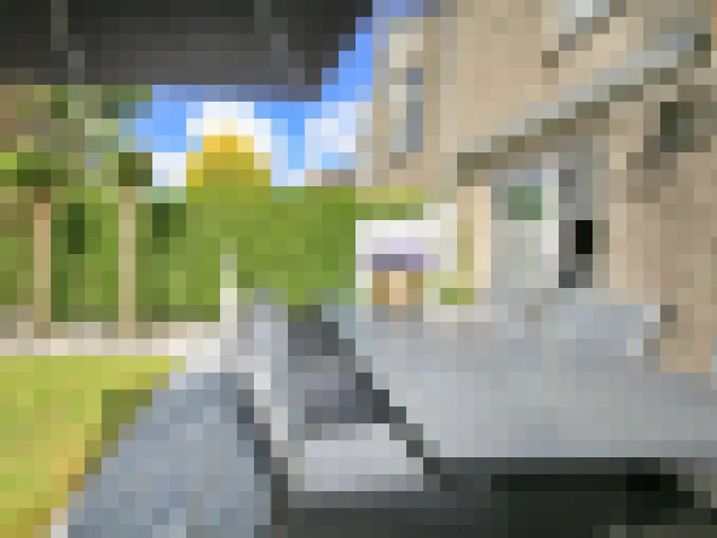 Ronde Zonnedauw 16 Velserbroek thumbnail 26