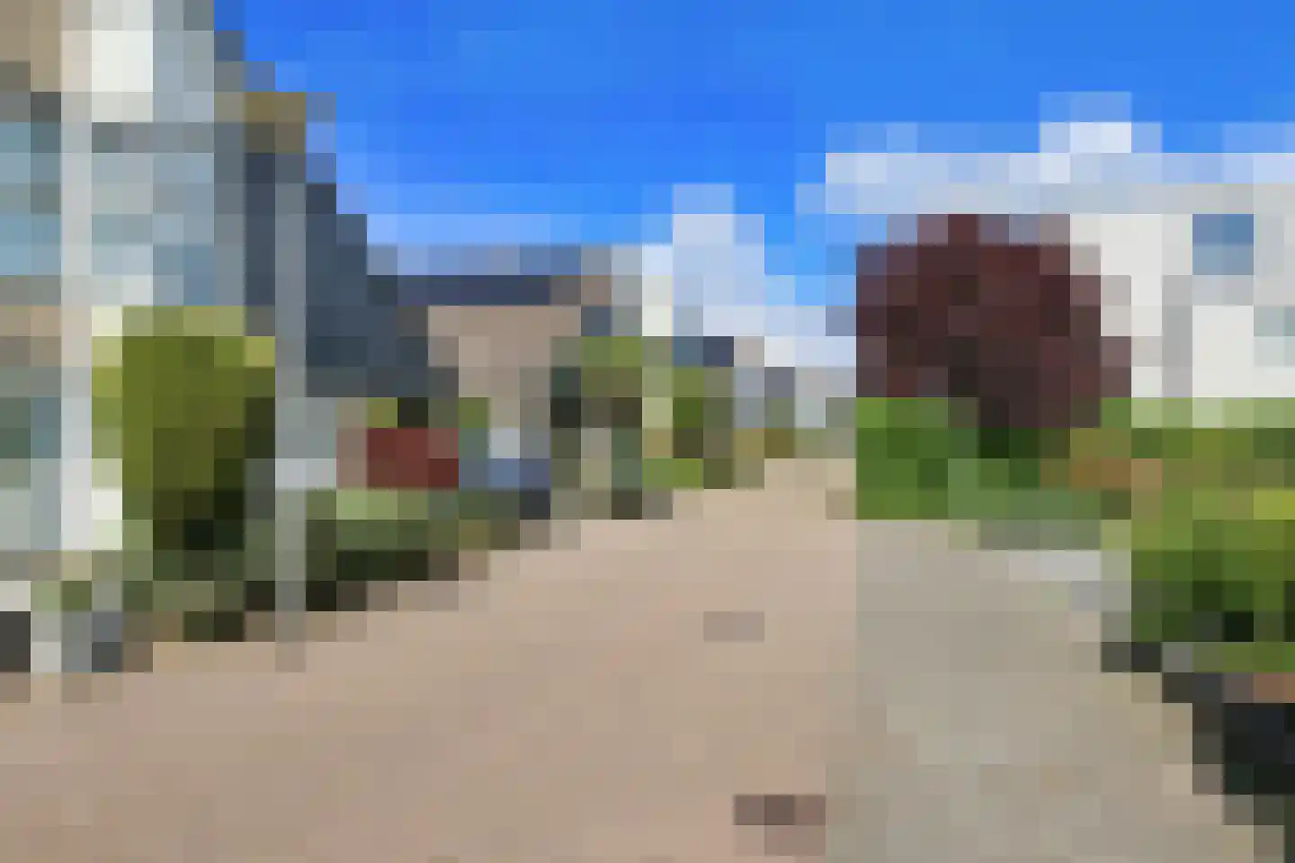 Ronde Zonnedauw 16 Velserbroek thumbnail 52