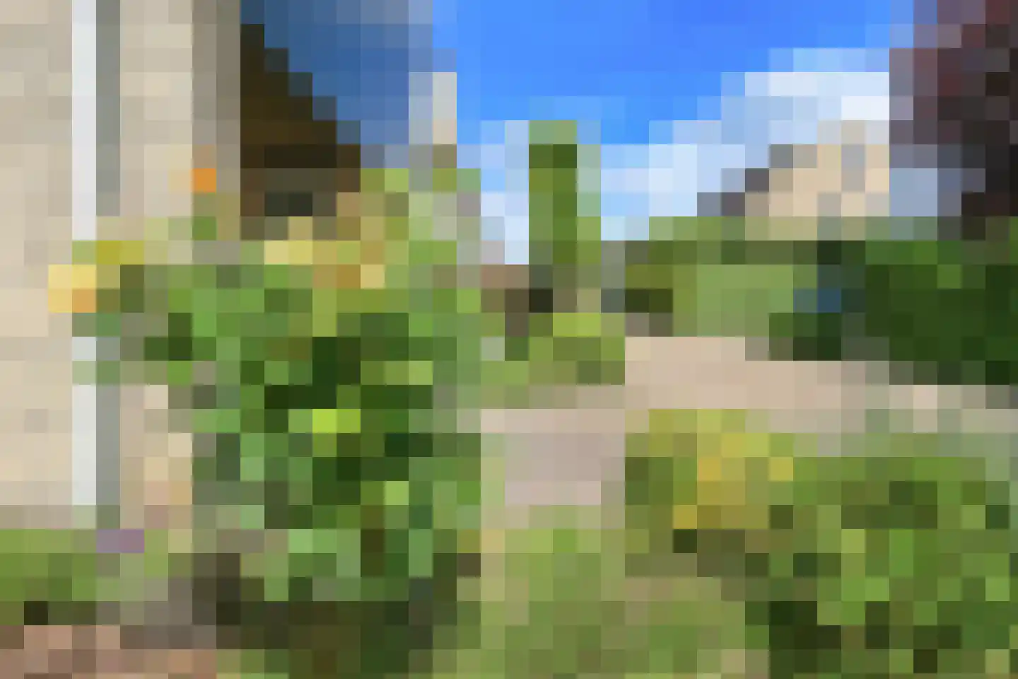 Ronde Zonnedauw 16 Velserbroek thumbnail 53