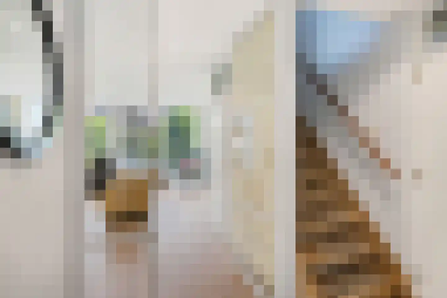 Ronde Zonnedauw 44 Velserbroek thumbnail 5
