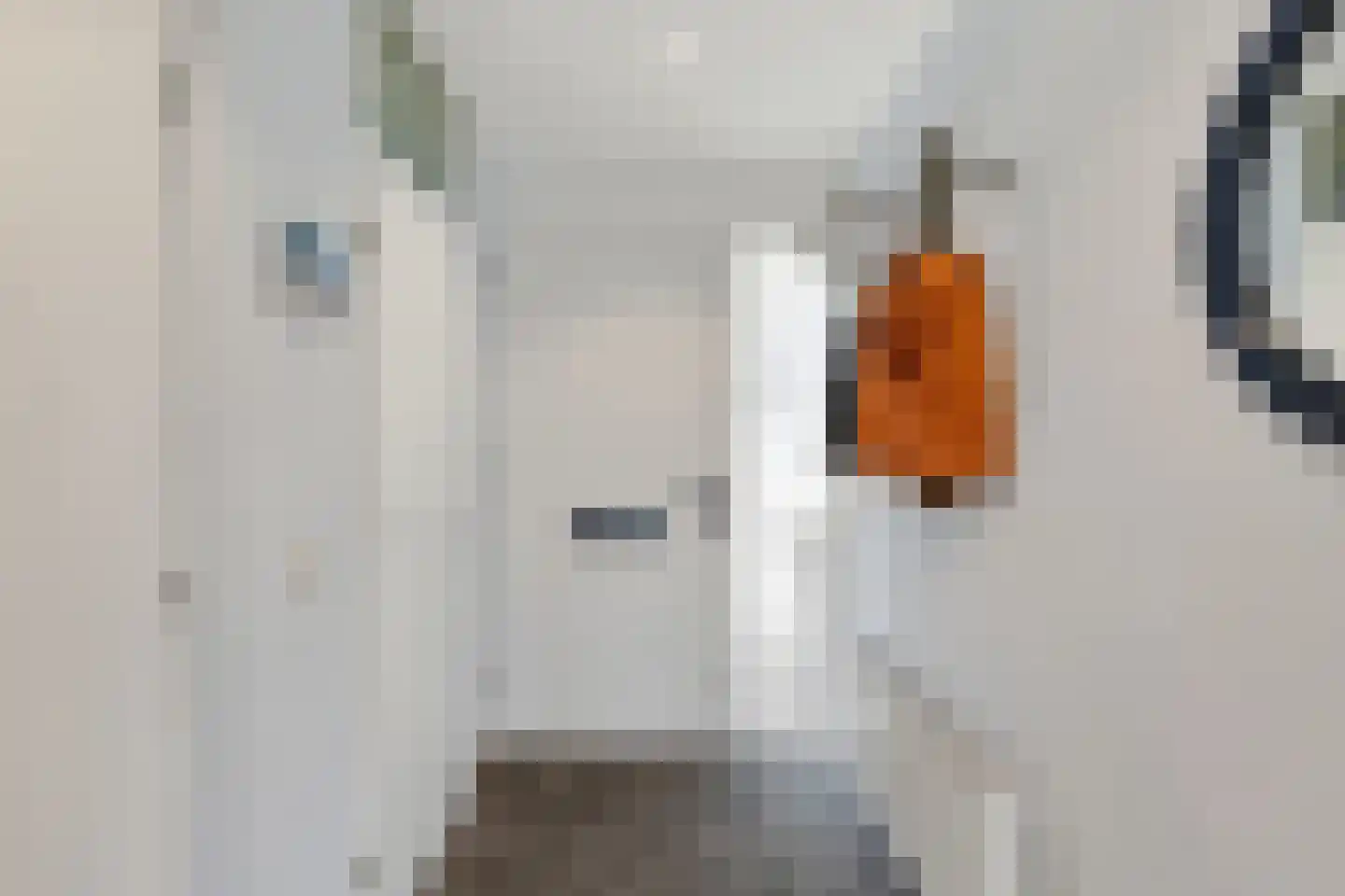 Ronde Zonnedauw 44 Velserbroek thumbnail 7