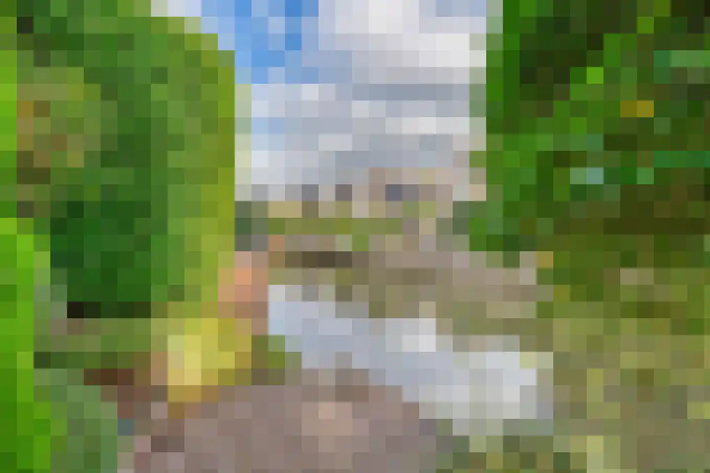 Ronde Zonnedauw 44 Velserbroek thumbnail 73