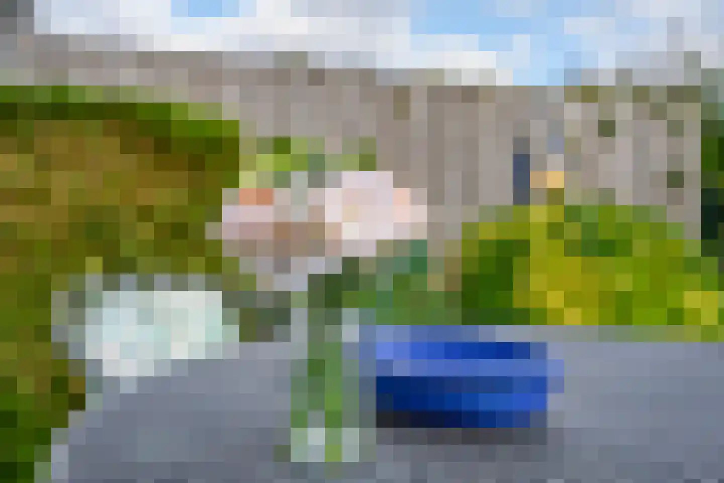 Ronde Zonnedauw 44 Velserbroek thumbnail 76